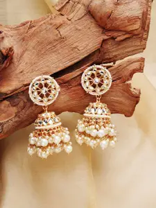 Zaveri Pearls Gold-Toned & White Kundan & Pearls Contemporary Jhumkas Earrings