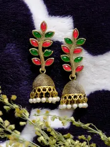 Crunchy Fashion Gold-Plated Dome Shaped Jhumkas Earrings
