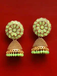 Crunchy Fashion Green-Toned & Gold-Plated Contemporary Handcrafted Jhumkas Earrings