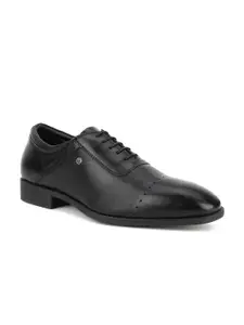 Blackberrys Men Black Solid Formal Oxfords