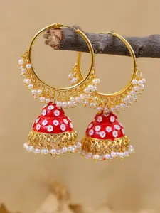 Crunchy Fashion Gold-Plated & Red Dome Shaped Jhumkas Earrings
