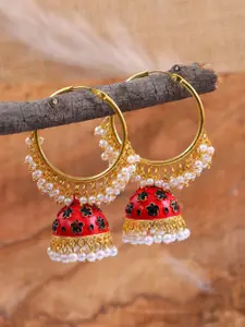 Crunchy Fashion Red & Gold-Plated Classic Jhumkas Earrings