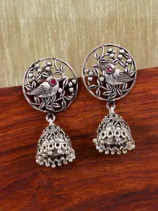 Crunchy Fashion Silver-Toned Contemporary Jhumkas Earrings