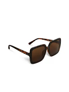 20Dresses Women Brown Regular Lens Oversized Sunglasses SG0453