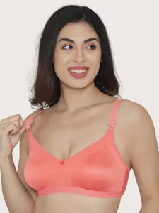 MAASHIE Women Coral Solid Everyday Bra With All Day Comfort
