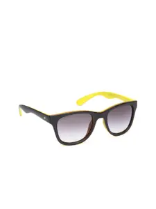 Fastrack Women Gradient Wayfarer Sunglasses P304BR3F