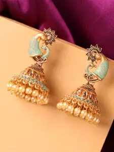 OOMPH Green & Gold-Toned Peacock Shaped Gold Plated Handcrafted Jhumkas
