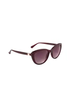XPRES XPRES Women Purple Lens & Brown Full Rim Cateye Sunglasses  1007 55019 141 C4