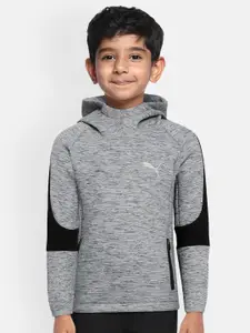 Puma Boys Grey Hooded Evostripe Slim DryCell Regular fit Sweatshirt