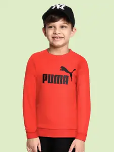 Puma Boys Red Printed Essential Big Logo Crew Sweat Shirt