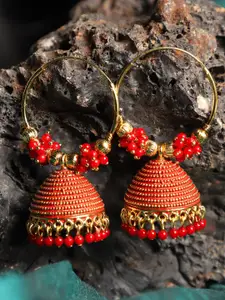 ANIKAS CREATION Red Gold-Plated Contemporary Jhumkas Earrings