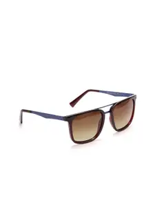 ENRICO Men Brown Lens & Blue Wayfarer Sunglasses with Polarised EN P+ 4002 C2