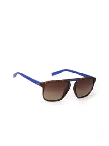 ENRICO Men Brown Lens & Blue Wayfarer Sunglasses with UV Protected Lens 4018 C1