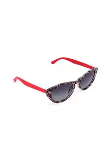 Aeropostale Women Grey Lens & Red Cat Eye Sunglasses with Polarised Lens