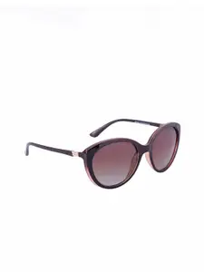 GIO COLLECTION Women Brown Lens & Brown Cateye Sunglasses - GM3021C02-Brown