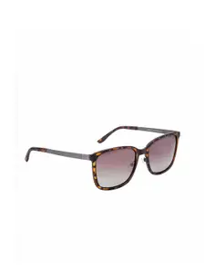 GIO COLLECTION Men Brown Lens & Brown Full Rim Wayfarer Sunglasses GM20377C03-Brown
