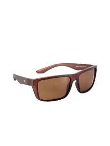 GIO COLLECTION Men Brown Lens & Brown Full Rim Wayfarer Sunglasses GM10007C03-Brown
