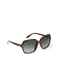 ENRICO Women Grey Lens & Brown Oversized Sunglasses - EN P 1030 C2-Grey