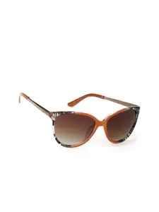 ENRICO Women Brown Lens & Gold-Toned Cateye Sunglasses - EN E 3032 C2-Brown
