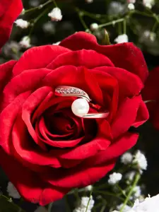 AMI Rose Women Gold-Plated White CZ-Studded & Pearl Beaded Adjustable Finger Ring