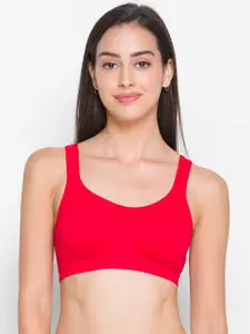 Candyskin Women Red Solid Non Padded Everyday Bra