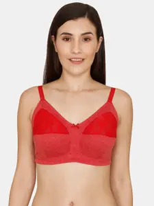 Rosaline by Zivame Red Floral Everyday Bra