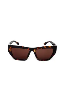 ODETTE Women Brown Lens & Brown Browline Sunglasses - DIW244-Black