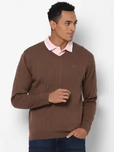 Allen Solly Men Brown Striped Pullover