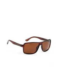 ROYAL SON Men Brown Rectangle Sunglasses with Polarised and UV Protected Lens CHI00123