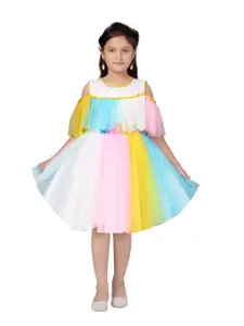 Aarika White & Pink Colourblocked Net Dress