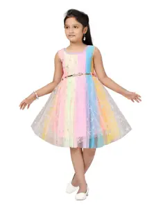 Aarika Multicoloured Embellished Net Dress