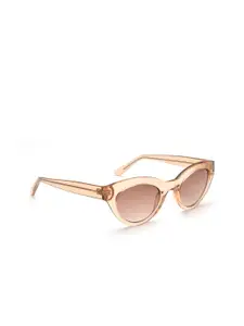 IDEE Women Brown & Gold-Toned Polarised Cateye Sunglasses IDS2582C3SG
