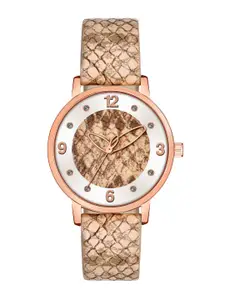 PERCLUTION ENTERPRISE Women Brown Dial & Leather Textured Strap Analogue Watch PE362