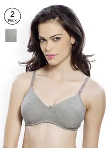 Lady Love Women Pack Of 2 Grey Solid Non Padded Non Wired T Shirt Bra