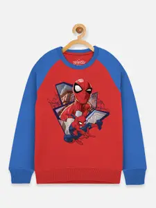 Kids Ville Boys Red Spiderman Printed Sweatshirt