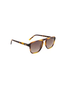 OPIUM Men Brown Lens & Brown Square Sunglasses With UV Protected Lens OP-1908-C02