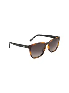 OPIUM Men Brown Lens & Brown Wayfarer Sunglasses Polarised & UV Protected Lens OP-1906-C02