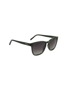 OPIUM Men Brown Lens & Green Wayfarer Sunglasses Polarised & UV Protected Lens OP-1906-C04