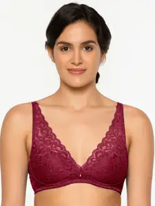 Wacoal Burgundy Mystique Floral Lightly Padded Bra All Day Comfort