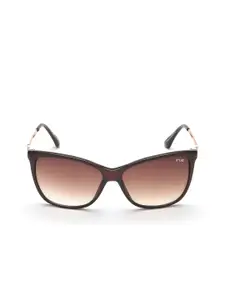 IRUS by IDEE Women Brown Lens & Brown Full Rim Butterfly Sunglasses IRS1044C2SG