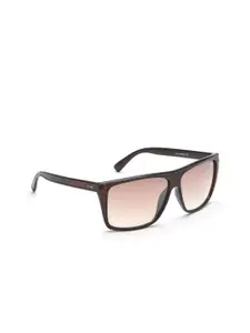 IRUS by IDEE Men Brown Lens & Brown Full Rim Wayfarer Sunglasses IRS1051C4SG