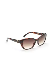 IRUS by IDEE Women Brown Lens & Black Square Sunglasses IRS1048C1SG