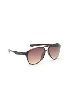 IRUS by IDEE Men Brown Lens & Brown Aviator Sunglasses IRS1038C2SG