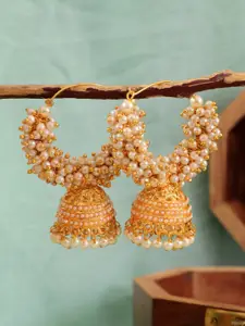 Crunchy Fashion Gold-Plated & White Dome Shaped Jhumkas Earrings