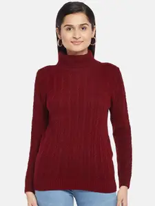 Honey by Pantaloons Women Maroon Turtle Neck Cable Knit Pullover