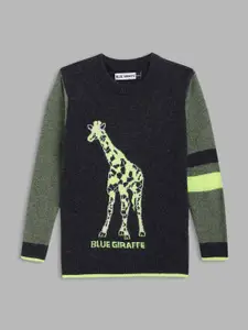 Blue Giraffe Boys Blue & Green Printed Pullover