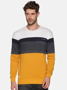 SHOWOFF Men Mustard Colourblocked Round Neck Sweatshirt