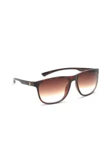 FILA Men Brown Lens & Brown Square Sunglasses with Polarised Lens SF9479K573AZSG