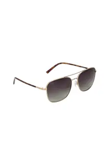 Royal Enfield Men Black Lens & Gold-Toned Full Rim Square Sunglasses