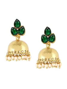 Yellow Chimes Green Gold-Plated Dome Shaped Jhumkas Earrings